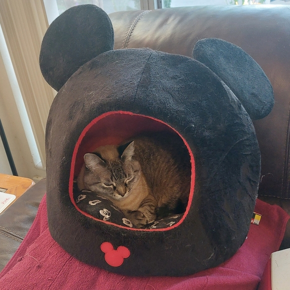 Meet your Posher, Shelly - Picture 5 of 9